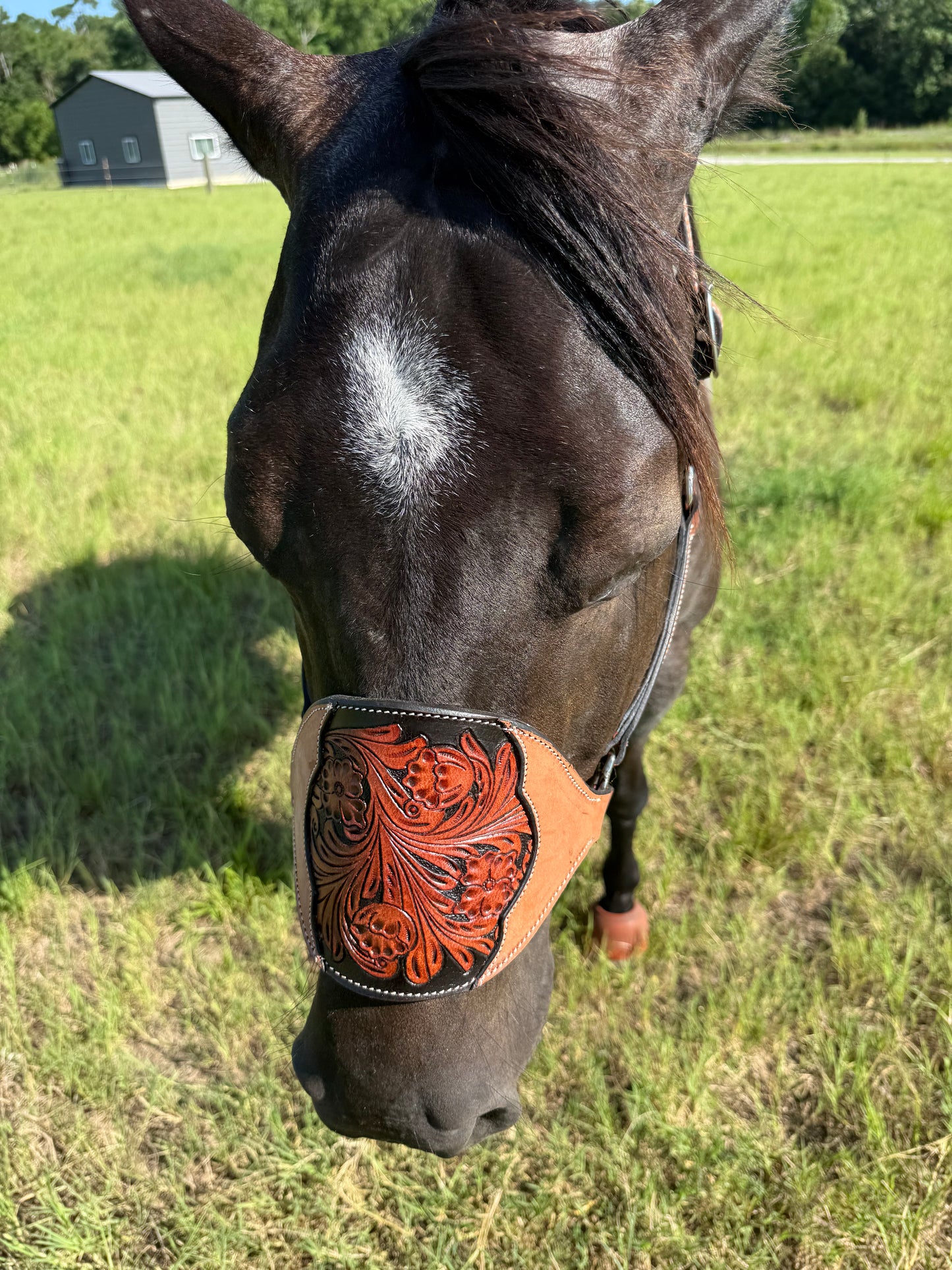 Cowboy Mafia Brown Tooled Leather Bronc Halter | Western Horse Tack