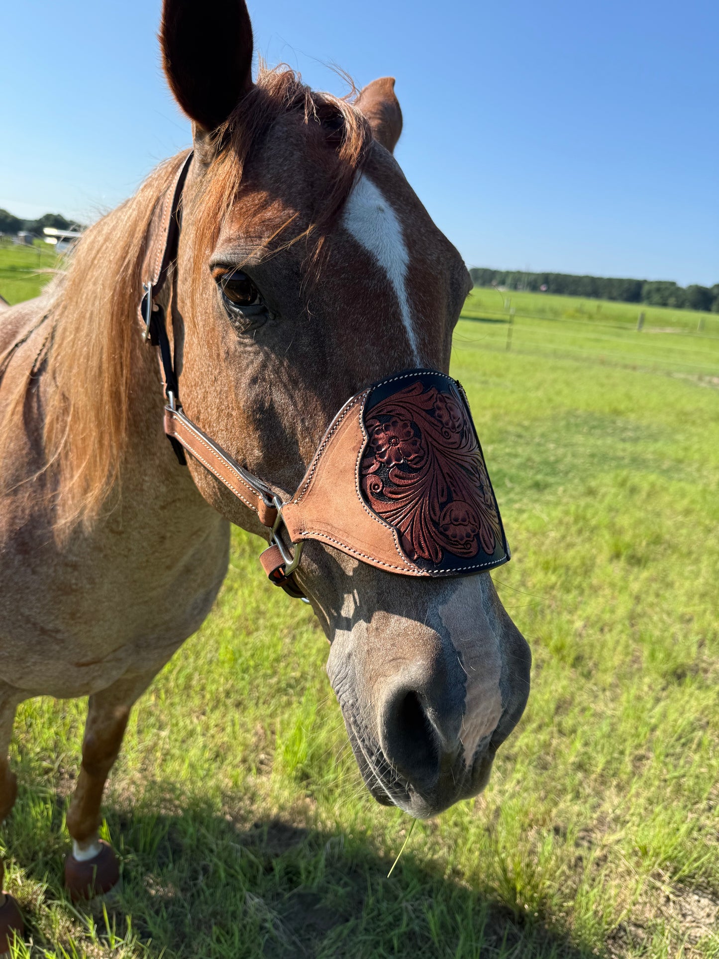 Cowboy Mafia Brown Tooled Leather Bronc Halter | Western Horse Tack