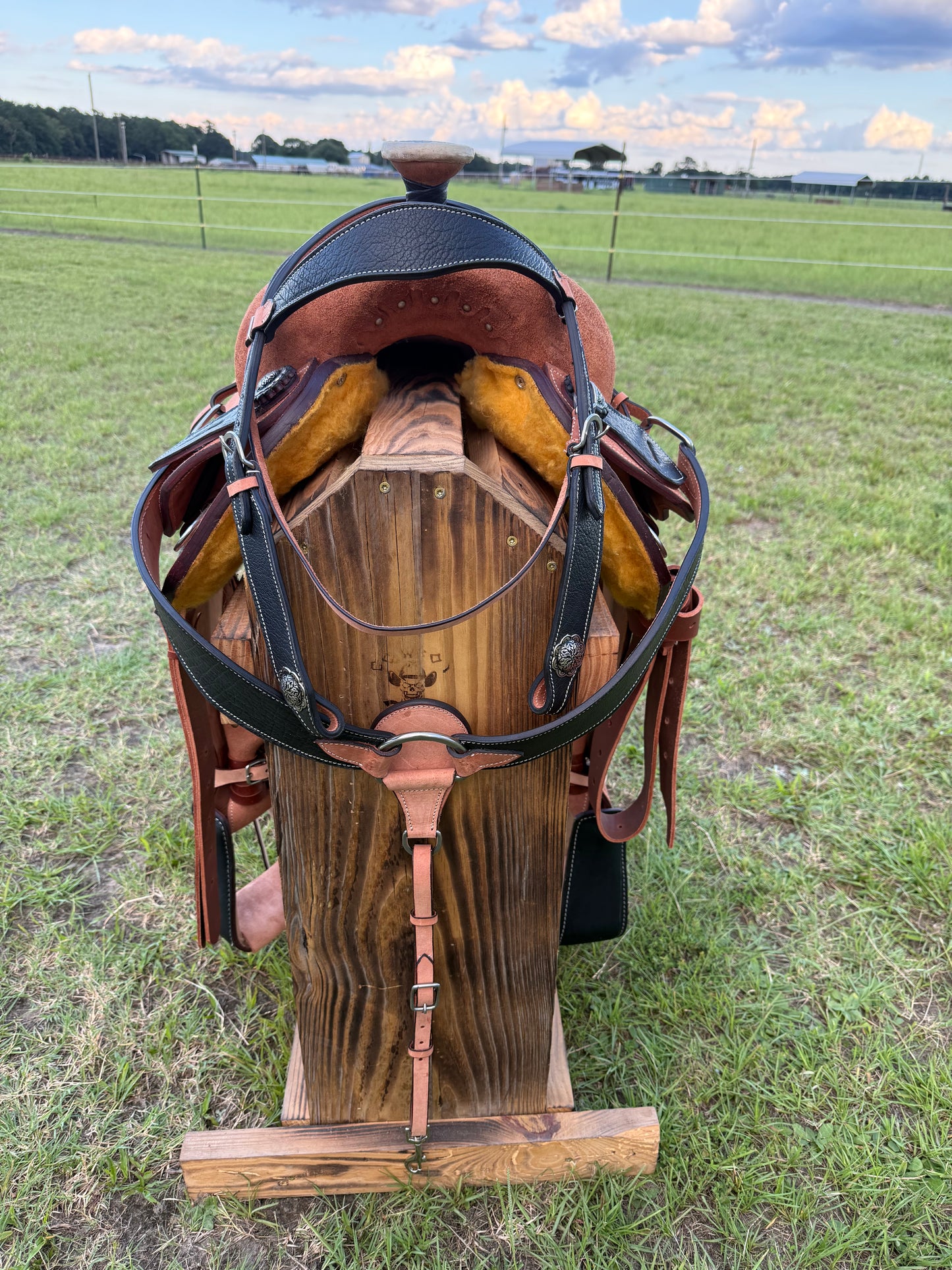Premium Team Roping Saddle Package – Roughout Leather with Black Cayman Bicycle Seat & Matching Tack Set