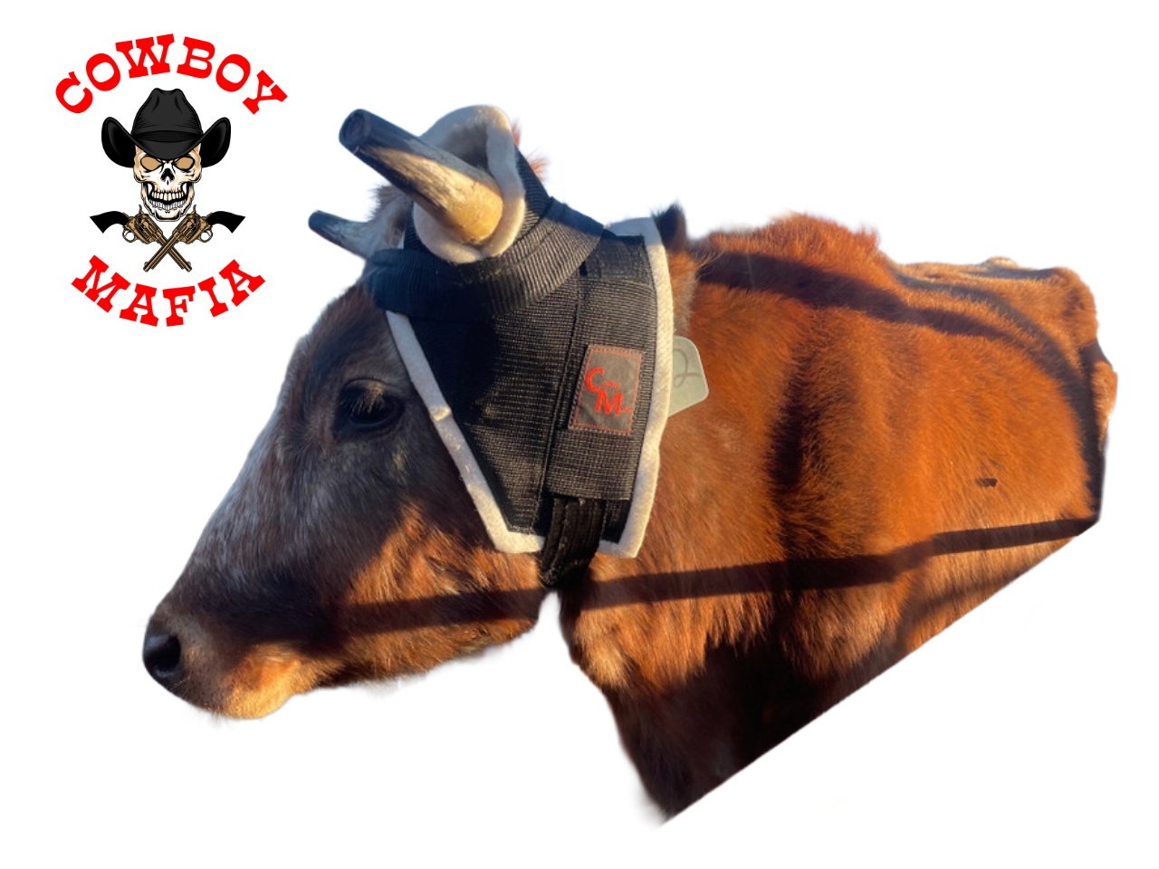 Steer Horn Wrap