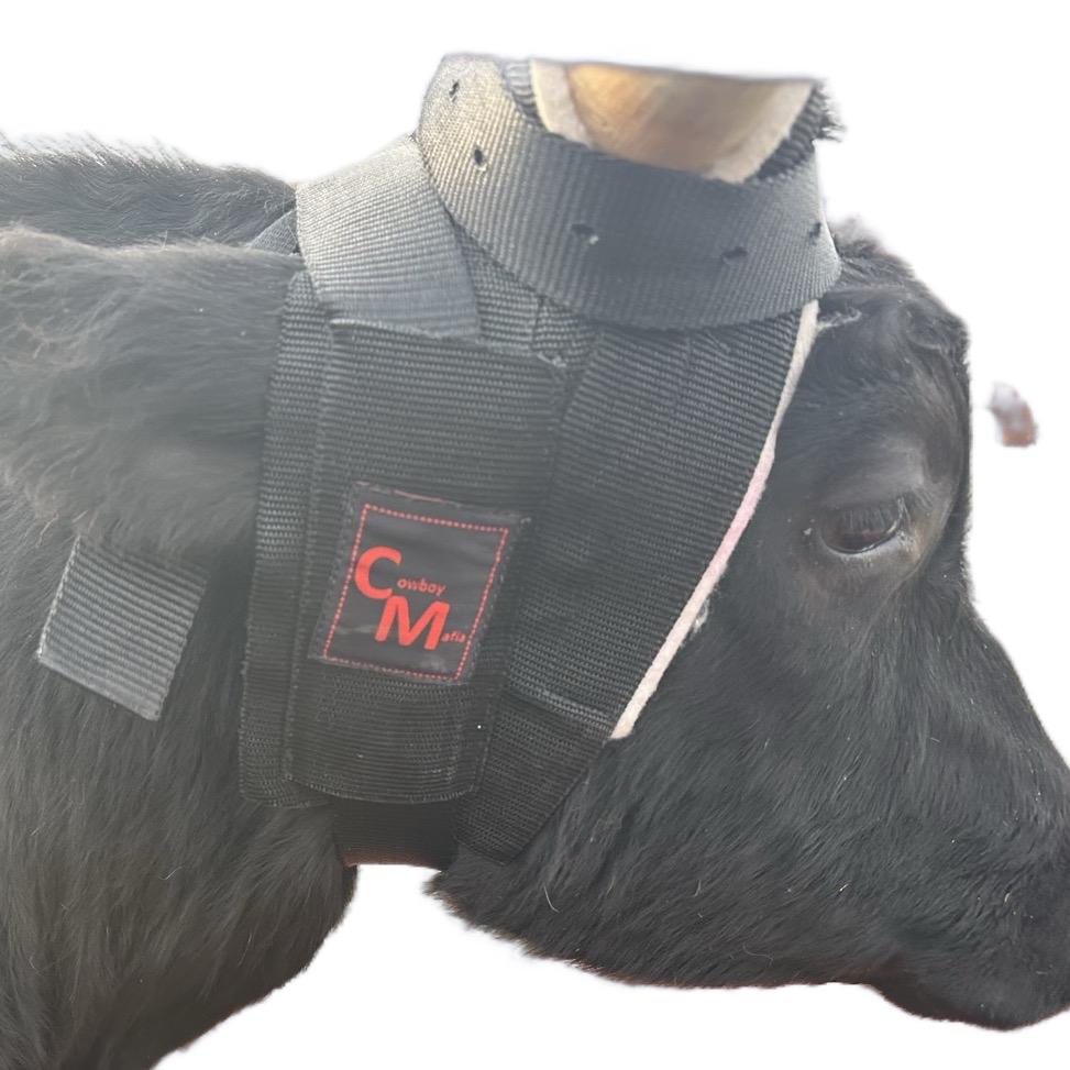 Cowboy Mafia Steer Horn Wrap