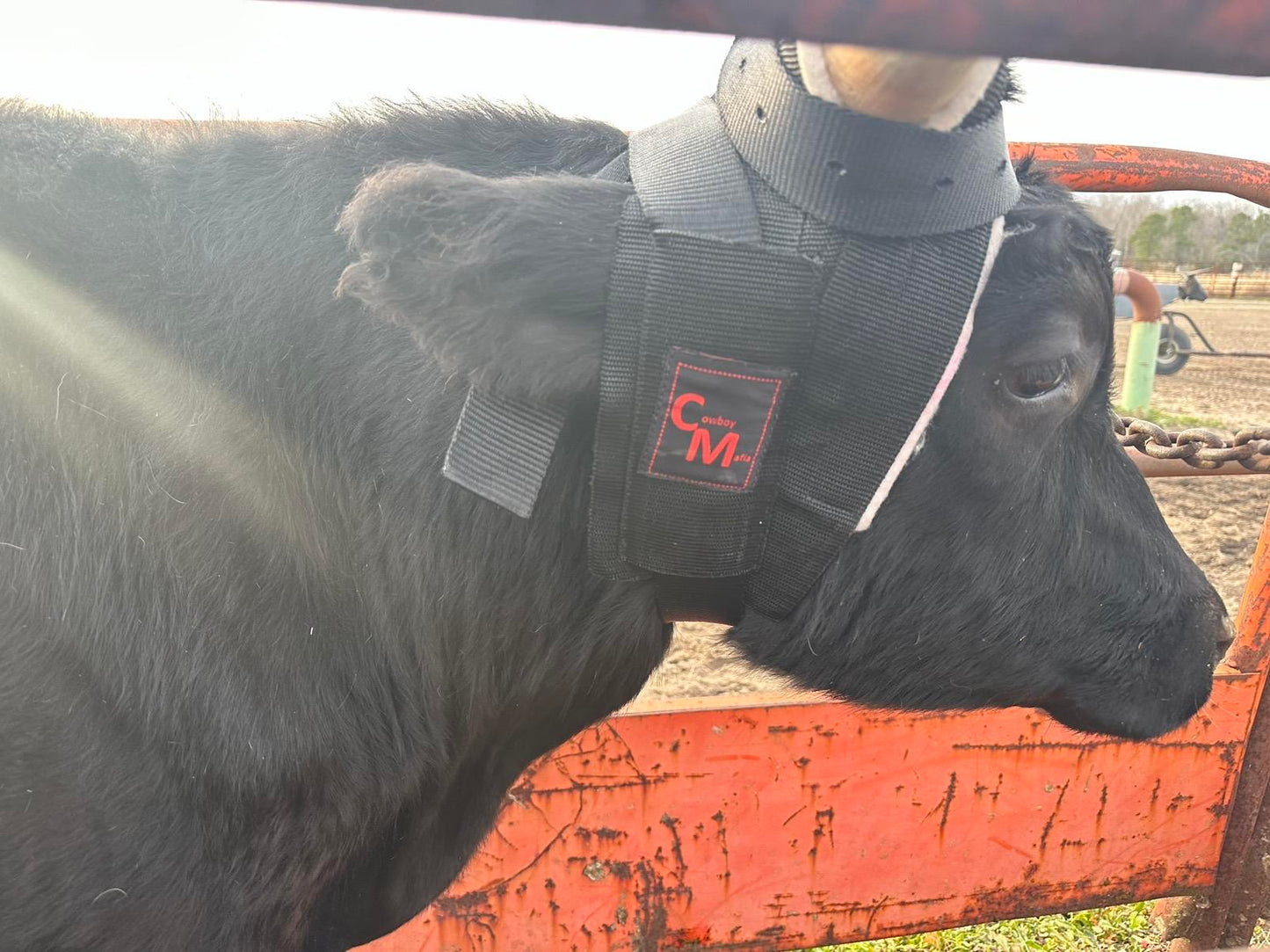 Cowboy Mafia Steer Horn Wrap