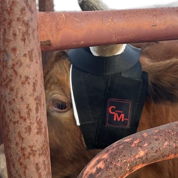 Cowboy Mafia Steer Horn Wrap
